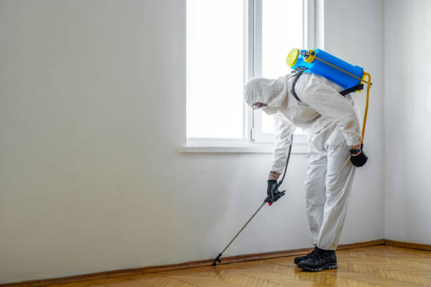 Pest Control for Hotels in Claude, TX